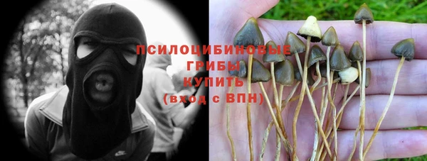 мяу мяу мука Краснотурьинск