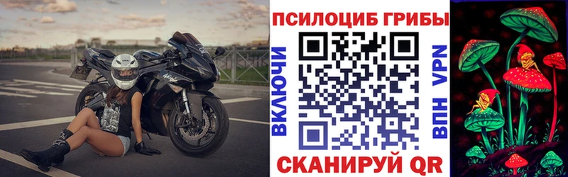 Псилоцибиновые грибы прущие грибы  Купить закладки  Жиздра 